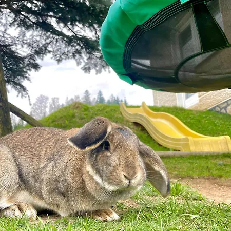 Pod Gronikami * Danielki