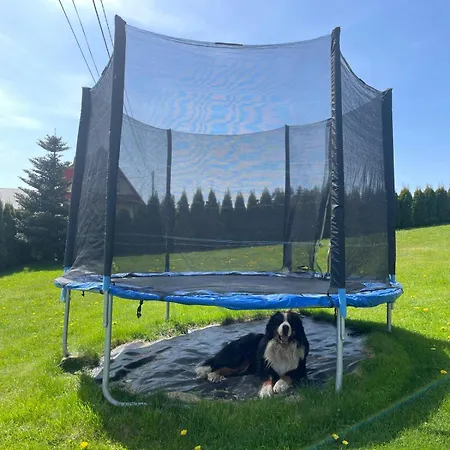 Pod Gronikami Danielki