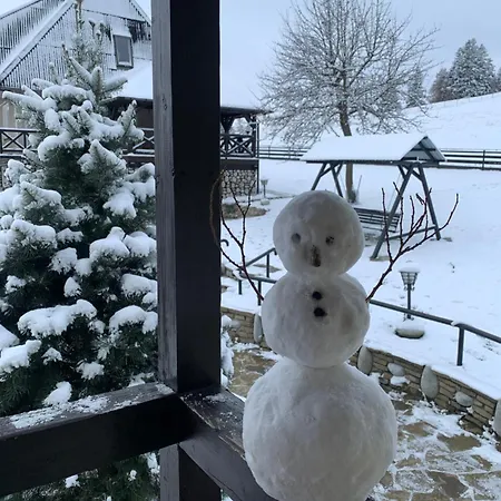 Pod Gronikami Farm stay *