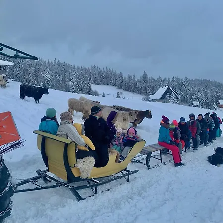 Pod Gronikami Farma Danielki